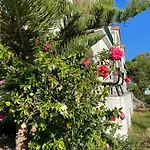 Apartament Dina *