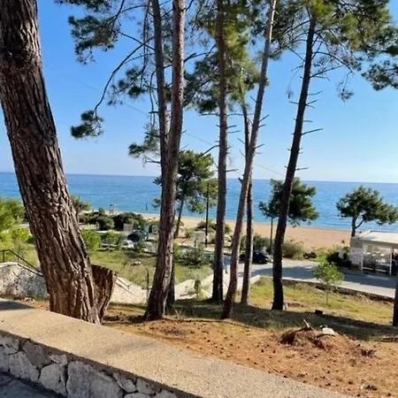 Dina 아파트 Skala (Kefalonia)