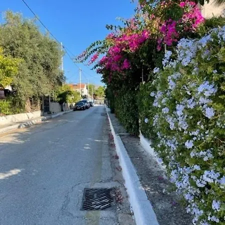 アパート Dina Skala (Kefalonia)